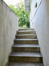 View of stairway from walkout basement.