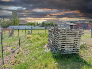 View of yard at dusk
