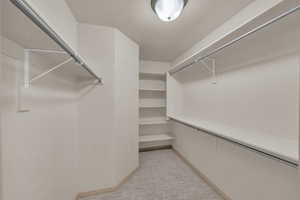 Spacious closet featuring light colored carpet