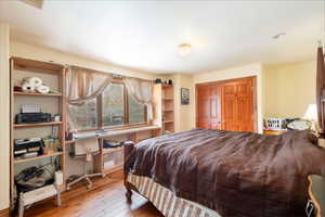 Bedroom with a closet and wood-type flooring