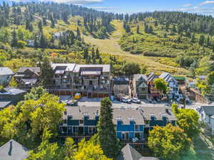 Aerial perspective of suburban area with a forest