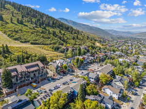 Aerial view of residential area featuring mountains and a forest