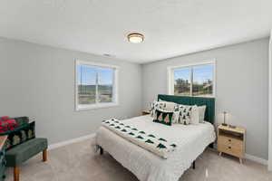 Bedroom with multiple windows, light colored carpet, and baseboards