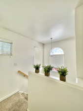 Stairway featuring healthy amount of natural light, baseboards, a textured ceiling, and carpet flooring