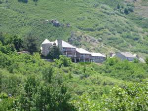 View from above of property with a heavily wooded area