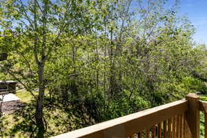 Blue sky and Aspens!