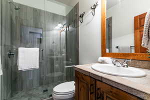 Main level guest bath with updated walk-in shower