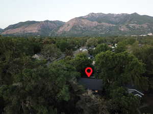 Bird's eye view of property with mature tree covering and mountain views.