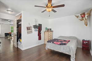 Bedroom with wood finished floors, baseboards, ceiling fan, and a walk in closet