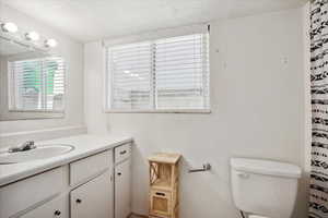 Full bath featuring vanity, toilet, and a shower with curtain