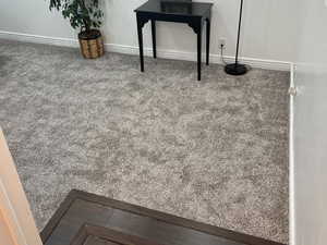 Detailed view of carpet floors