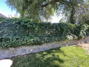 View of grassy yard