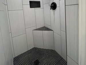 Full bathroom with tiled shower
