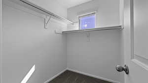 Spacious closet featuring dark carpet