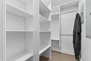 Walk in closet with carpet floors