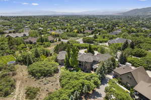 Aerial view of residential area with a mountain backdrop