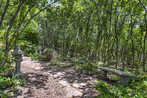 View of community with a wooded view