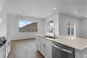 Kitchen with appliances with stainless steel finishes, a sink, healthy amount of natural light, wood finished floors, and recessed lighting