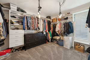 Spacious closet with carpet flooring