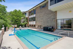 Swimming pool featuring area for grilling, a patio, and a diving board
