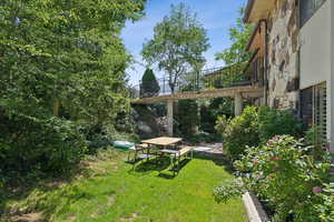 View of grassy yard