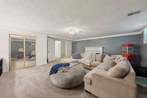 Carpeted living area with a textured ceiling and baseboards