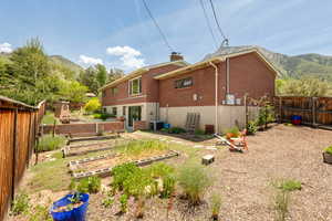 Backyard with garden boxes