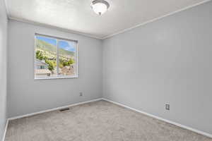 Empty room featuring a textured ceiling, carpet, ornamental molding, and baseboards