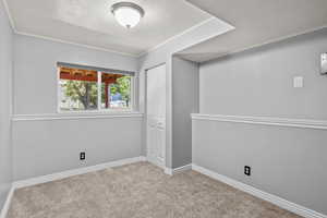 Carpeted spare room with a textured ceiling, ornamental molding, and baseboards