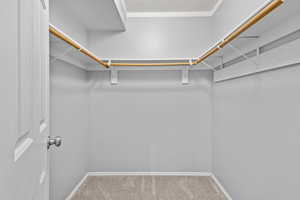 Walk in closet featuring carpet floors