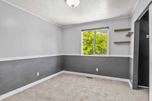 Empty room featuring a textured ceiling, carpet, crown molding, and baseboards