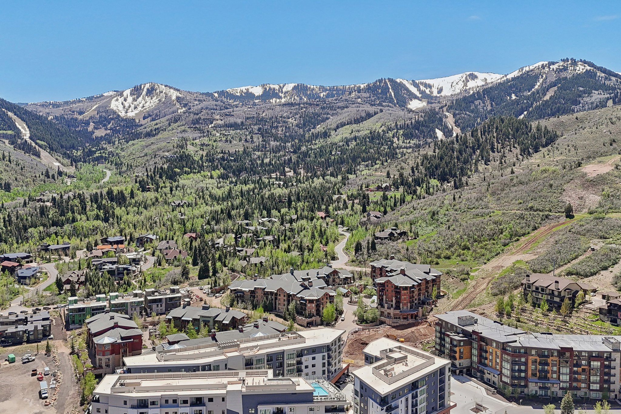 View of mountain background with a heavily wooded area