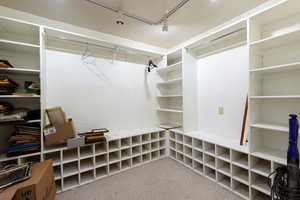 Spacious closet with carpet flooring