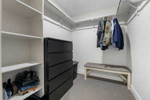 Spacious closet featuring carpet