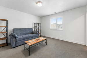 Carpeted living area with baseboards and a textured ceiling
