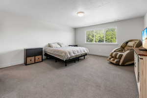 Bedroom featuring carpet, baseboards, and a textured ceiling
