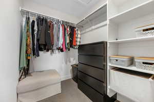 Spacious closet with carpet flooring