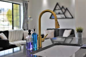 Detailed view of dark countertops and a sink
