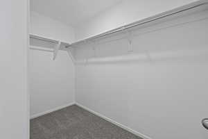 Spacious closet featuring carpet floors