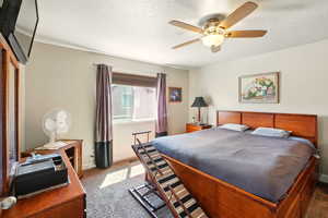 Bedroom featuring carpet floors, baseboards, a textured ceiling, and ceiling fan