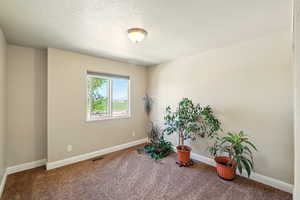 Living area with carpet flooring, a textured ceiling, and baseboards