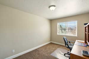 Carpeted home office with a textured ceiling and baseboards