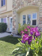 Entrance to property featuring stone siding and a yard