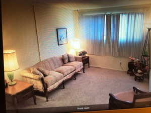 New carpet & New widow & New paint & New window curtains