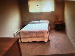 Bedroom with New carpet & New window & New paint & New window curtains
