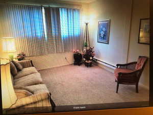 New carpet & New widow & New paint & New window curtains