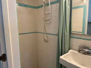 Bathroom, view 1, with a sink, a tile shower, and toilet