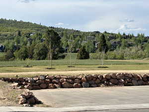 View of grassy park with a wooded view