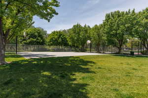 Basketball Court