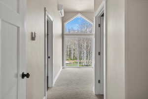 Hall with carpet flooring, plenty of natural light, and baseboards
